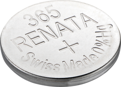 365 - RENATA