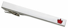 ALPINE Souvenir Tie Bar ST40