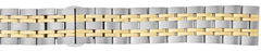 ALPINE Buckle Band 20, 22mm Straight Ends 615 (SOLID LINKS)