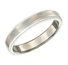 ALPINE Titanium Band - 4mm WIDE - TR6